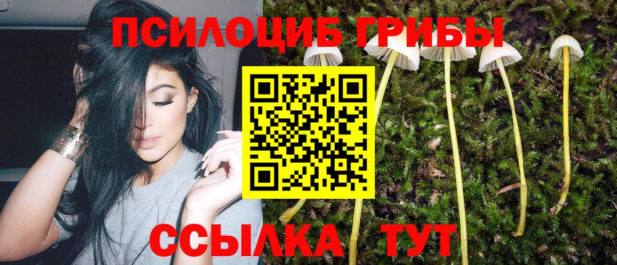 Москва  продажа наркотиков  Вход с VPN  Галлюциногенные грибы прущие грибы 