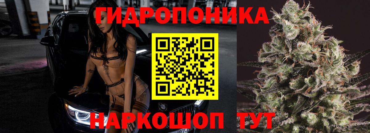 Бошки Шишки гибрид  Вход с VPN  Москва  Бошки Шишки ГИДРОПОН  Бошки марихуана White Widow 